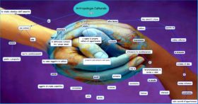 Antropologia Culturale Business Oriented